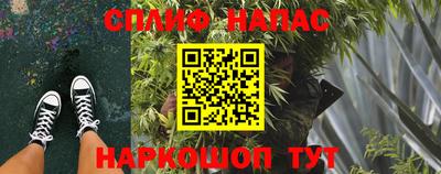 jwh Моздок