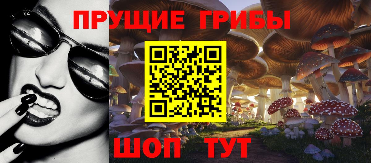 Губкинский  Галлюциногенные грибы прущие грибы  Вход с VPN 